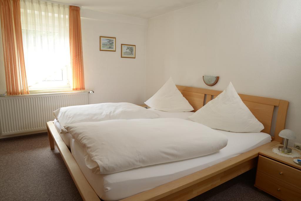 Pension & Metzgerei Friedrich Trebgast Room photo
